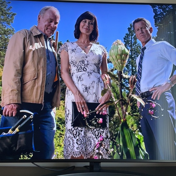 French Connection Rosalie Lace Midi Dress - Picture 13 of 13